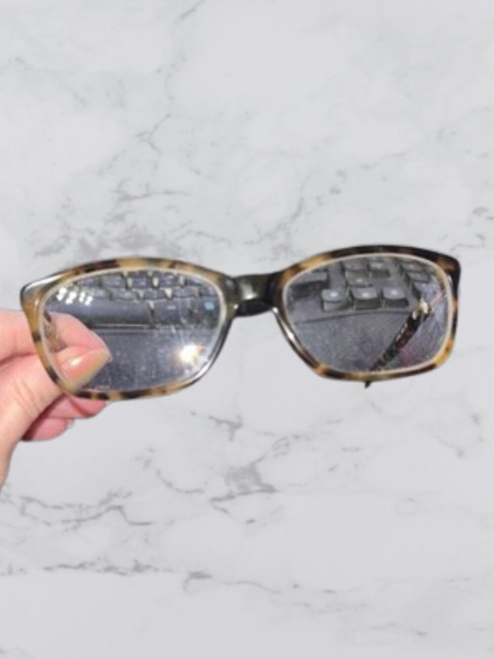 Kate Spade New York cat-eye sunglasses - Picture 6 of 9